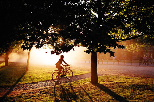 sunshine-bicycle