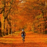 5 TOP důvodů, proč na podzim nepřestat jezdit na kole aneb Každý si najde to svoje!