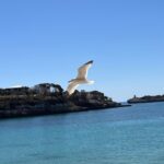 PHOTO-2024-04-13-20-21-03 (2)