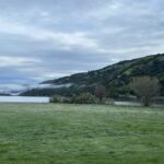 C2879995-63A0-4891-9AAC-179F20316BF3